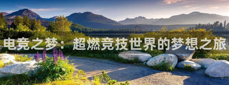 火狐电竞登录app