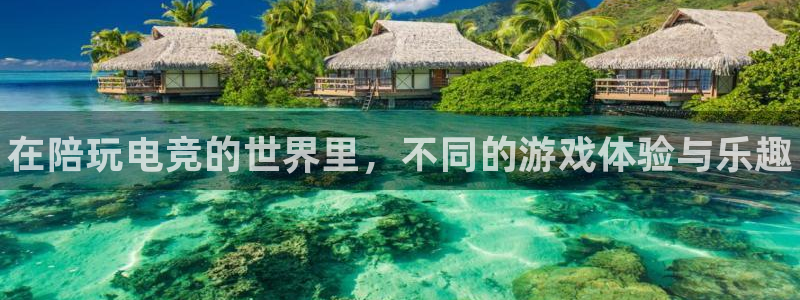 火狐电竞宾馆