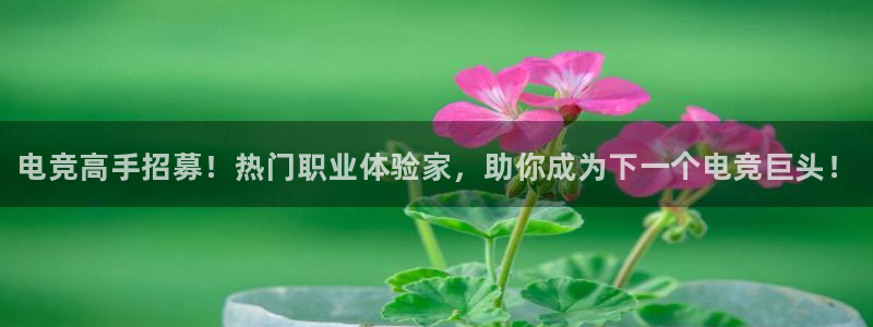 火狐电竞网页版入口